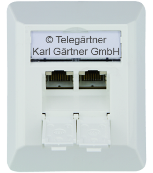 J00023A0204  Datendose UAE 8/8 2-fach Cat6a a.P. rws